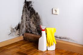 Best Environmental Consulting for Mold Prevention  in Louisville, GA